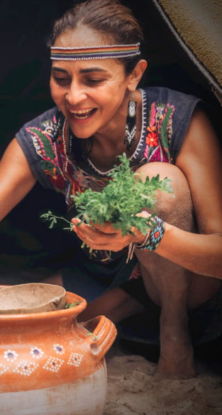 Capture-decran-2024-12-14-a-11.37.00