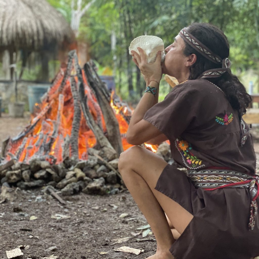 Temazcal-2-scaled-q3ra1z4mcj3d0dy8ct0ju5052k2atmryh8mk7etnuo (1)